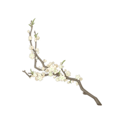 Floral Intent: Vision Image