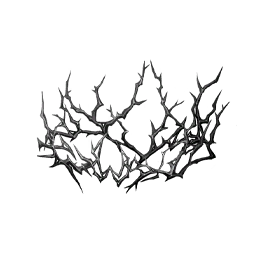 Ebony Thorns Image