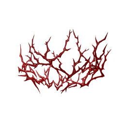 Ebony Thorns: Wild Fire Image