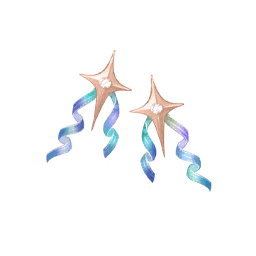 Imperishable Starlight Image