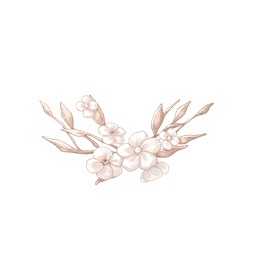 Blossom Verses Image
