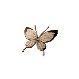 Dream of Butterfly Image