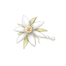 Delicate Petal Image