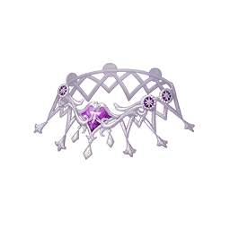 Dawn Song Image