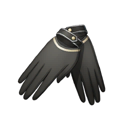 Midnight Nocturne Image