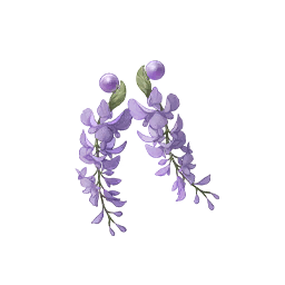 Purple Whisper Image