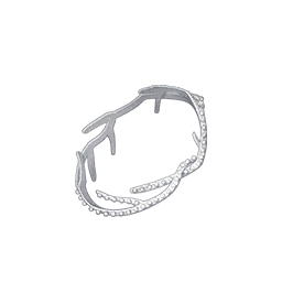 Silver Branch Image