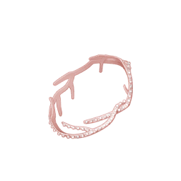 Cape Letter Image