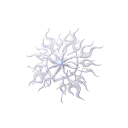 Seeking Gaze: Glimmer Image