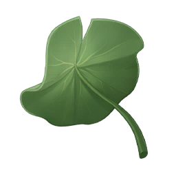 Lotus Umbrella Image