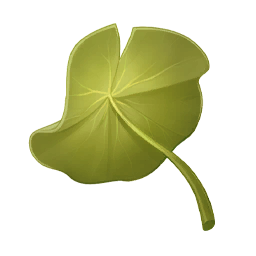 Lotus Umbrella: Refreshing Image