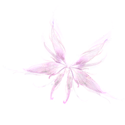 The Fairy's Secret Image
