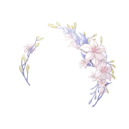 Floral Dreams Image
