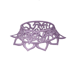 Bones in Bloom Image