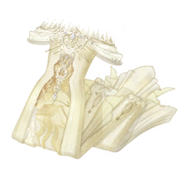 Rolling Wheat Ears Image