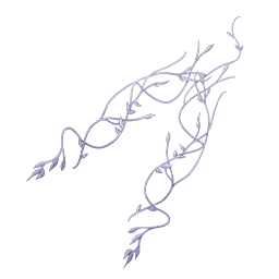 Entwined Leaves: Dream Invitation Image