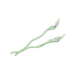 Jade Branch Image
