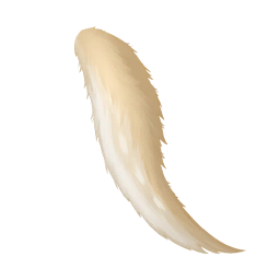 Fluffy Tail Image