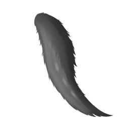 Fluffy Tail: Concealed Night Image