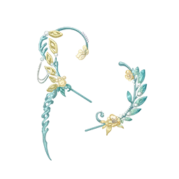 Divine Echo Image