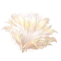 Floral Enigma: Growth & Decay Image