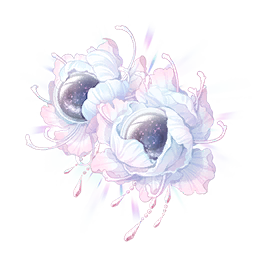 Floral Reflections Image