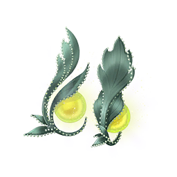 Green Paw Trails Image