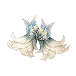 Kindred Light Image