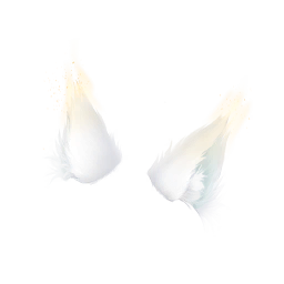 Gentle Night Image