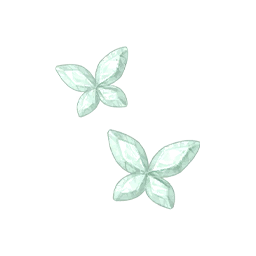 Star Reader Image