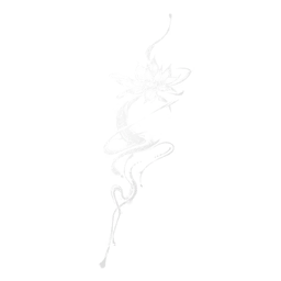 Serene Tune Image