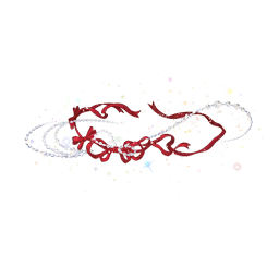 Converging Stars Image