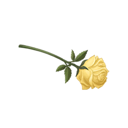 Strolling in Bloom: Adrift Image