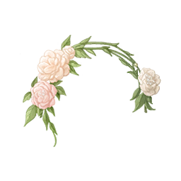 Floral Branches Image