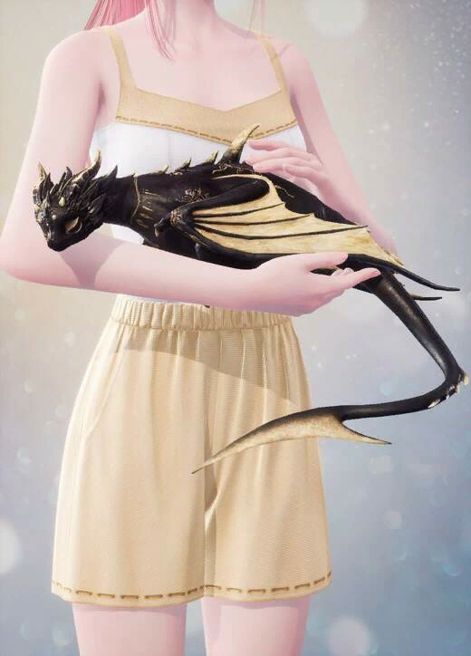 Wondrous Gift