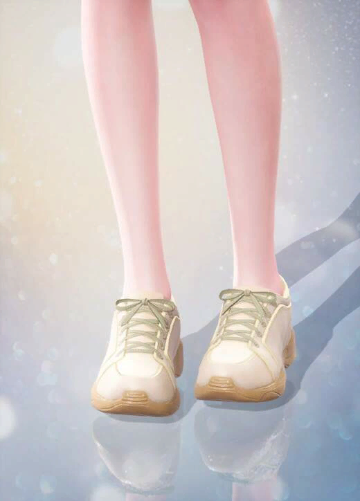 Traveler's Shoes