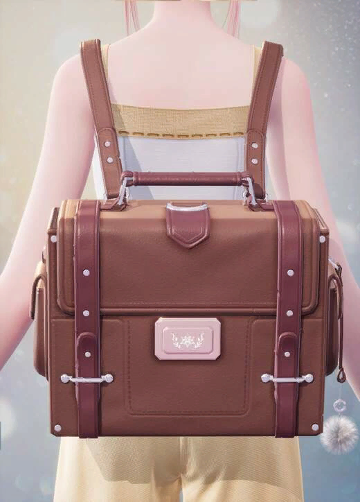 Pink-Brown Backpack