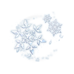 Melted Snow: Head