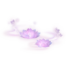 Moon Lotus: Feet